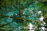 DSC_6787.jpg