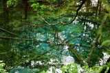 DSC_6789.jpg