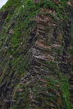 DSC_7292.jpg