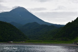 DSC_7366.jpg