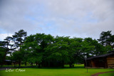 DSC_8087.jpg