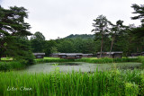 DSC_8088.jpg