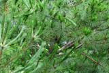 DSC_8123.jpg