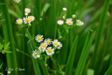 DSC_8148.jpg