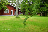 DSC_8150.jpg