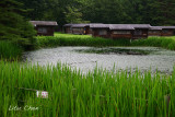 DSC_8505.jpg