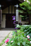DSC_8573.jpg