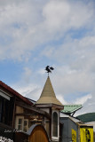 DSC_8576.jpg