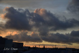 DSC_5333.jpg