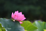DSC_3600.jpg