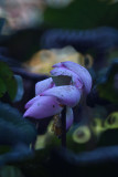 DSC_1798.jpg