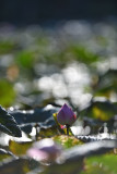 dsc_7920.jpg