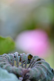 dsc_8193.jpg