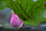 dsc_8349.jpg