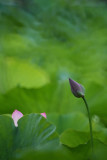 dsc_8495.jpg
