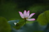 dsc_8789.jpg