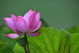 dsc_9366.jpg