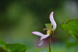 dsc_9402.jpg
