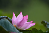 dsc_9723.jpg