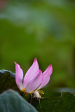dsc_9748.jpg