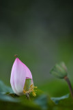 dsc_9765.jpg