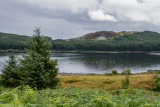 Loch Doon