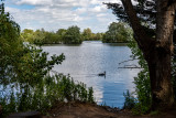 Radley Lake