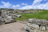 Housesteads Fort