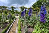 Alnwick Gardens