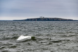 Farne Islands