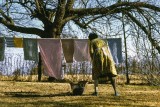 Theonia hanging out laundry, Chickasaw Co., Miss.,1968