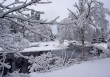 WINTER EVERNESS