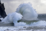 Cape Disappointment.jpg