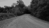 To The Dark End Of The Road
