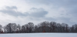 Gray Skies and Bare Trees