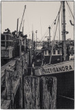 Fishing Boats