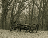 Abandoned In The Woods