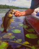 Wishing I was Fishing