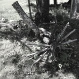 Remnants