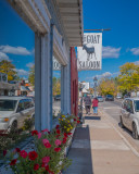 The Goat Saloon