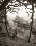 At Point Lobos