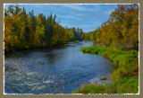 A View From a Bridge