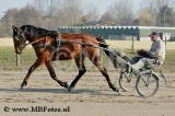 _MBF0900.jpg