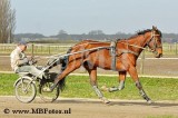 _MBF1460.jpg