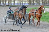 _MBF7895.jpg