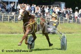 MBF_0250.jpg
