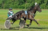 Koers 2. Hickory Forest1.jpg