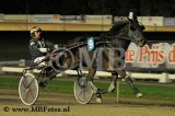 Koers 2. Tuxedo Bi.jpg