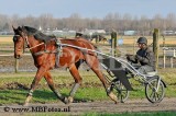 _MBF7733.jpg