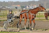 _MBF7829.jpg
